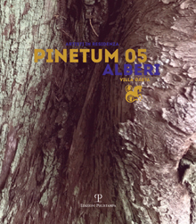 Pinetum 05