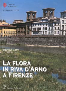 La flora in riva d’Arno a Firenze
